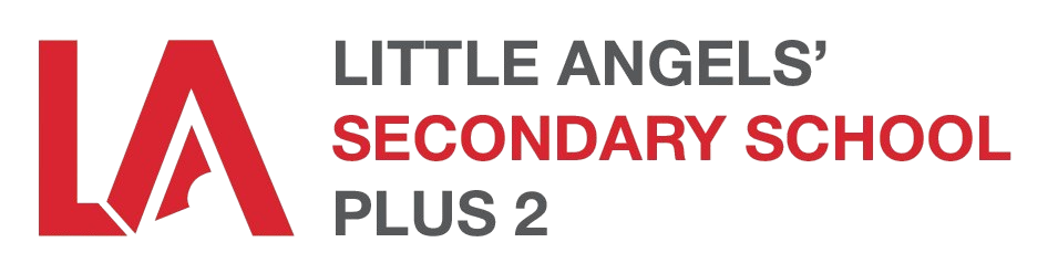 MIS Logo